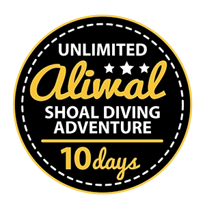 Unlimited Aliwal Shoal Diving Adventure - 10 days