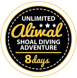 Unlimited Aliwal Shoal Diving Adventure - 8 days