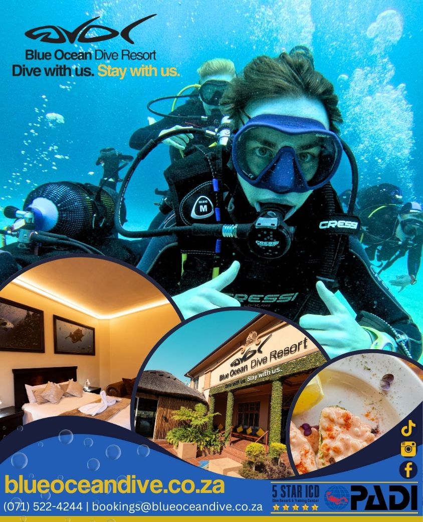 Your All-Inclusive Diving Oasis