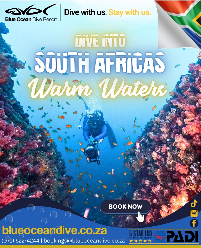 Tired of Cold-Water Dives