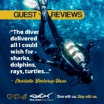 Charlotte Binderup-Haue