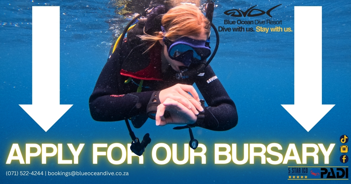 Life-Changing Bursary