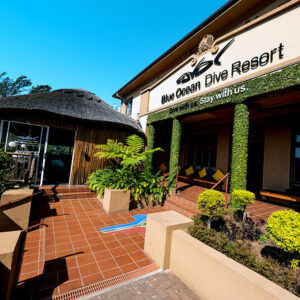 Discover a World-Class Diving Experience on South Africa’s KZN South Coast
