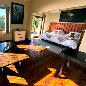 Discover a World-Class Diving Experience on South Africa’s KZN South Coast