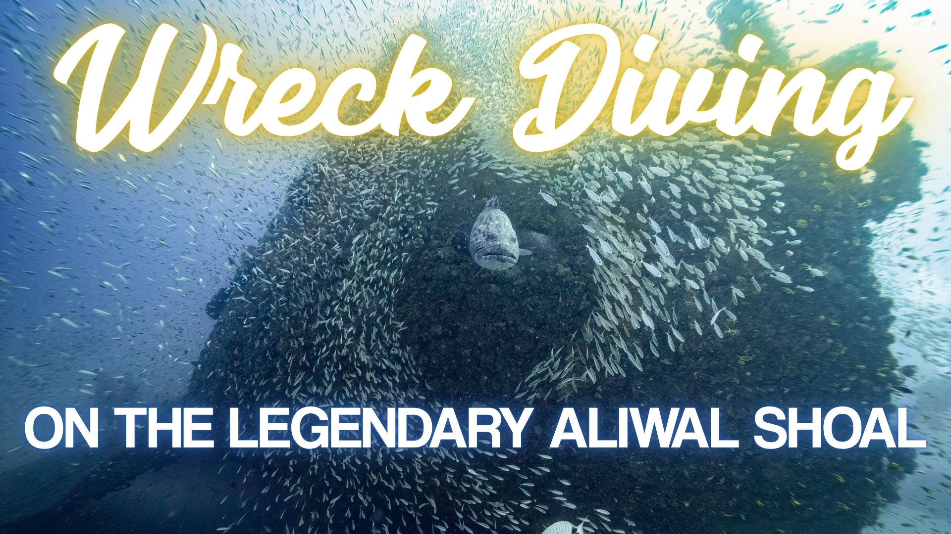 Wreck Diving on the Legendary Aliwal Shoal