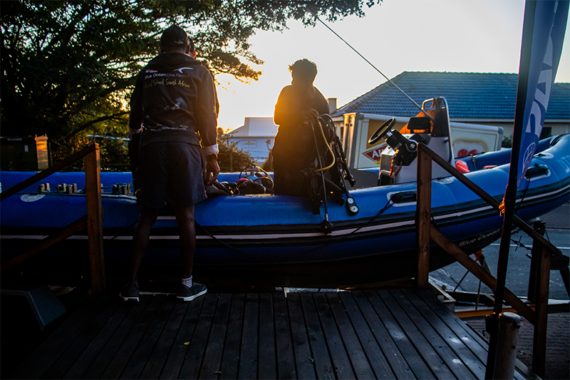 Aliwal Shoal - Scuba Diving - Blacktip Shark Bellow View