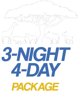 3 Night 4 Day Safari Package for booking