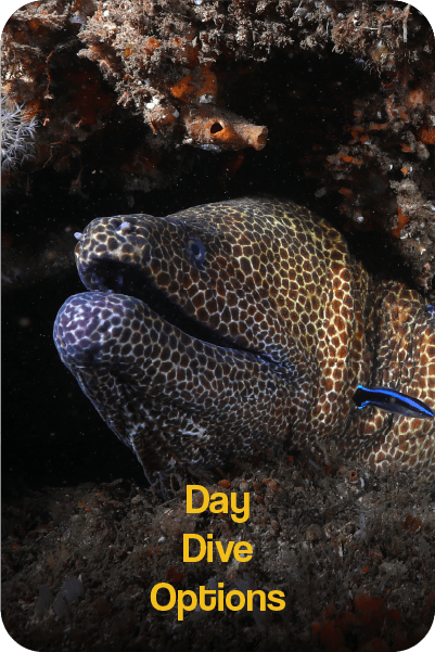 Flexible Duration Hotel Bookings