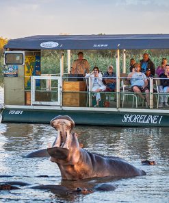 St Lucia Safari