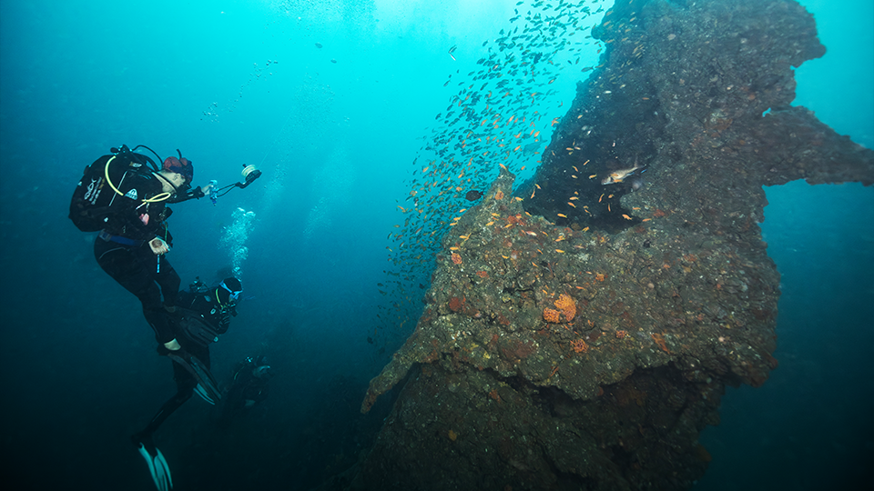 Dive Masters Gallery 001