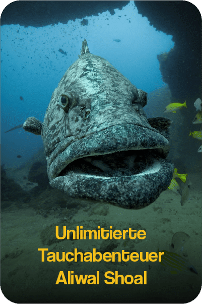De-UnlimitedAliWal